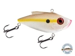 Pro Ripper -Rod Reel Kit Sales Store 0SZKwwtdz9bZ Aj 3nxg83HMQ