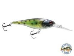 EBS Walleye 90 -Rod Reel Kit Sales Store 1vPYAdzIrfqDmkyr9pO9K TDg