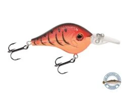 Shredder 53 -Rod Reel Kit Sales Store 3870iDchMFHM1GOmzoXilmWkg