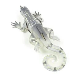 Skitter Lizard -Rod Reel Kit Sales Store 5MXPRNM2m74TgAT8iYyWJMPdU