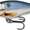 Shad Crankbait