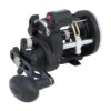 PENN RIV20LWLC Rival 20 Level Wind Reel W/Line Counter