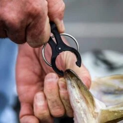 T-H Marine G-Force Conservation Cull System Gen 2 -Rod Reel Kit Sales Store 6tcZ9W4F4nq0mVBse86G si8A