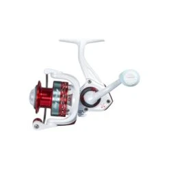 Favorite Shay Bird Spinning Combo -Rod Reel Kit Sales Store 7FYO5eXW6UsONIw54m3psXANI