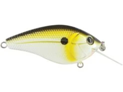 Primetyme CB 1.5 12 Primetyme CB 1.5 -Rod Reel Kit Sales Store 7Gt1AW4ZS04151dhlWSvT7Sss