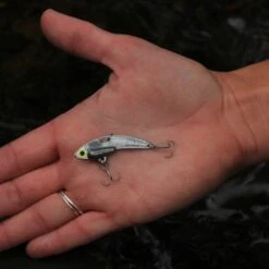 SteelShad Mini - 1/4 Oz - Silver (2pk) 23 SteelShad Mini - 1/4 Oz - Silver (2pk) -Rod Reel Kit Sales Store 7MDz 1PGg8Srfh0WSykNeCL54