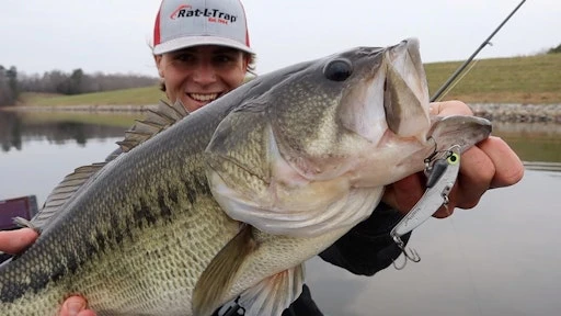 SteelShad Mini - 1/4 Oz - Silver (2pk) 14 SteelShad Mini - 1/4 Oz - Silver (2pk) - Image 14