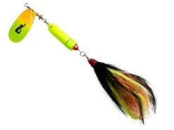 EBS Spinner 100 -Rod Reel Kit Sales Store 8fSXuybLKC2GGNM sh3dGHNPM