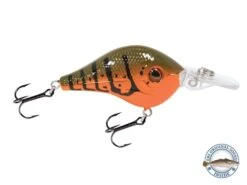 Shredder 53 -Rod Reel Kit Sales Store 9t74X6P4 JLXzGbPfT8sMLhK0