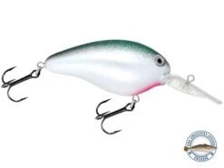 Dive Master 14 -Rod Reel Kit Sales Store AHj rV8tA6 JHX23Ih2K5QiQc