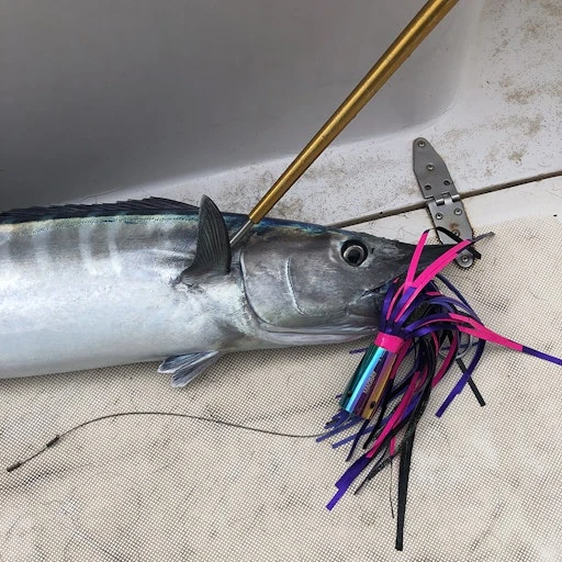 All Speed Wahoo Lure GI-24 1 All Speed Wahoo Lure GI-24