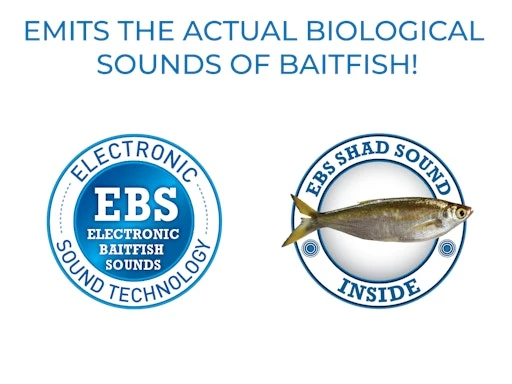 FlatSide 50 7 FlatSide 50 - Image 7