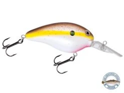 Dive Master 14 -Rod Reel Kit Sales Store BXpXbwT3Z9 WqVOqgen1aDArU