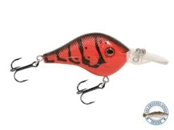 Shredder 53 -Rod Reel Kit Sales Store Bk73tg5QuUV8CnbHX4ggfqto