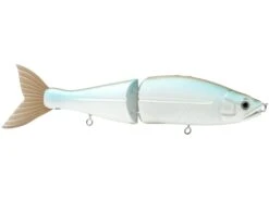 B Venom 6 -Rod Reel Kit Sales Store Bo3GEDuyDj VDUXtb7hhrH0fc