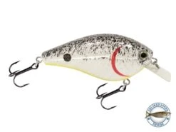 Primetyme SQ 2.0 -Rod Reel Kit Sales Store CZIJrrqSFasisgnp9LDYj4pyA