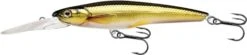Rainbow Smelt Jerkbait Deep Dive 7 Rainbow Smelt Jerkbait Deep Dive -Rod Reel Kit Sales Store DSQQMIgFWZdZ3F4J6mdYIhjQ4