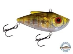 Pro Ripper -Rod Reel Kit Sales Store DuoJm1b9f68 4IeXDBIzGqkE4