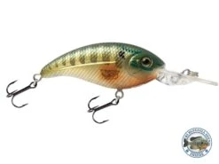 Deep Impact 6 15 Deep Impact 6 -Rod Reel Kit Sales Store FIqlyQ8BalU ysTBpqngY zCs