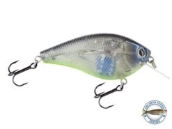 Primetyme SQ 2.0 -Rod Reel Kit Sales Store FsycrG15EoM2HdfHAECSh1kl0