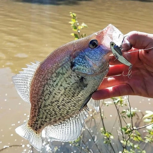 SteelShad Mini - 1/4 Oz - Silver (2pk) 13 SteelShad Mini - 1/4 Oz - Silver (2pk) - Image 13