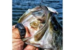 GoFish Fishing Line Cutter Ring -Rod Reel Kit Sales Store Gn1eB0dT0EilA6RTGmar1uUwE