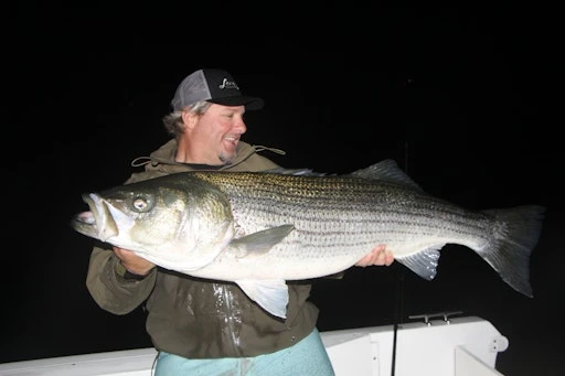 TriFlex V2 | TFXV7030C 7' 12-30 Lb Conventional 5 TriFlex V2 | TFXV7030C 7' 12-30 Lb Conventional - Image 5