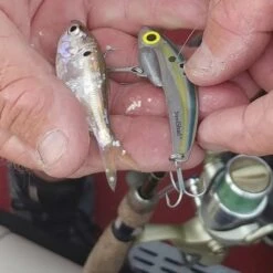 SteelShad Mini - 1/4 Oz - Sexy Shad (2pk) -Rod Reel Kit Sales Store I2tbG8Fbky2mibb8E1rJ 9aOs