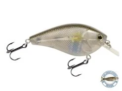 Primetyme SQ 2.0 -Rod Reel Kit Sales Store I80BzS1CztR3HXyAwuqeJwn34