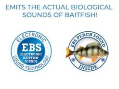 Sale Item - EBS Spinner 58 -Rod Reel Kit Sales Store KASIUA4p8YcCb2gFfUShiOvPA 1