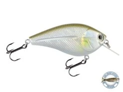 Primetyme SQ 2.0 -Rod Reel Kit Sales Store KfUVd SzYMbgw7b3MPki0SnvM