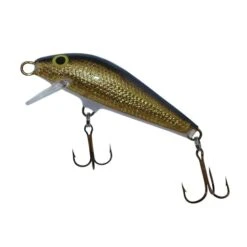 AC Shiners 250 -Rod Reel Kit Sales Store MxY7wV WKjhWPn7ERdsaaRpUs