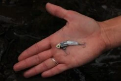 SteelShad Mini - 1/4 Oz - Silver (2pk) 17 SteelShad Mini - 1/4 Oz - Silver (2pk) -Rod Reel Kit Sales Store NkXI8NYm9UXo M08acC3pJ4o4