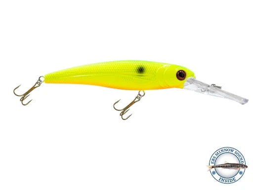 Voyager 15 Walleye 1 Voyager 15 Walleye