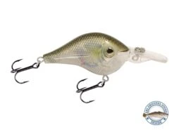 Shredder 53 -Rod Reel Kit Sales Store R6CKn FtO8OkziK9KIZud9miA