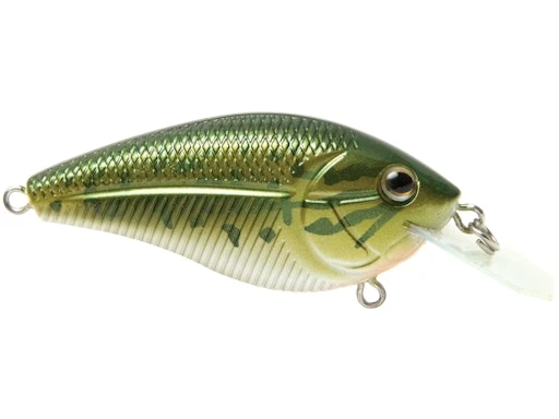 Primetyme CB 1.5 1 Primetyme CB 1.5