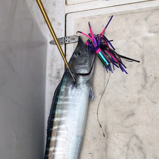 All Speed Wahoo Lure GI-24 2 All Speed Wahoo Lure GI-24 - Image 2