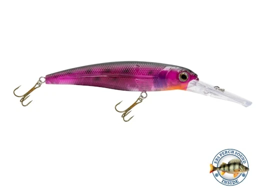 Voyager 15 Walleye 6 Voyager 15 Walleye - Image 6