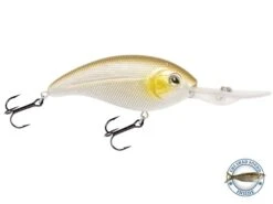 Deep Impact 18 -Rod Reel Kit Sales Store UFcdTN5dYGMeiF 1Jsd1b7OuU