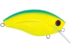 Howeller DMC SQ -Rod Reel Kit Sales Store UzxkdJQLQJXEtC7geu4o4vBZw