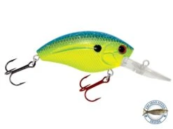 Howeller DMC -Rod Reel Kit Sales Store Vmt9yuDyJCkf5F97JTo tmdHk