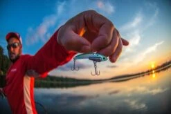 SteelShad Mini - 1/4 Oz - Sexy Shad (2pk) -Rod Reel Kit Sales Store VzpBv9QsiCcwWGD6ScJnf1VXg