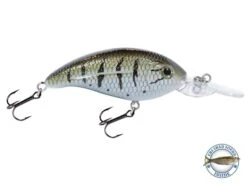 Deep Impact 6 18 Deep Impact 6 -Rod Reel Kit Sales Store WD8GaHl9ijpXYfHJLF keEoVk