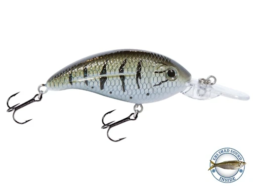 Deep Impact 6 9 Deep Impact 6 - Image 9