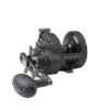 PENN Fathom® II Star Drag Reel