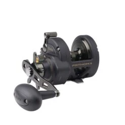 PENN Fathom® II Star Drag Reel