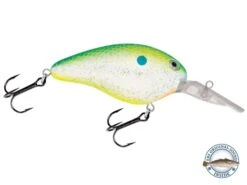 Dive Master 14 -Rod Reel Kit Sales Store X8bLEk0B22qWLIAxXuKqrQ1 s