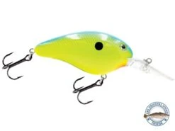 Dive Master 14 -Rod Reel Kit Sales Store Xfnt92sRY7UvtDeVFs AghHu8