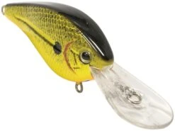 FlatMaster -Rod Reel Kit Sales Store YN99wEcy8rAVVtfDNrfdY1 Vw