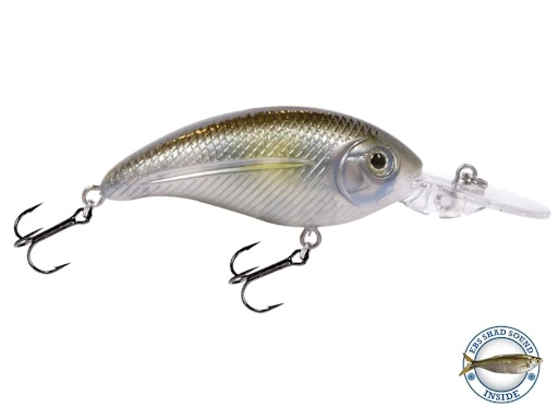 Deep Impact 6 1 Deep Impact 6